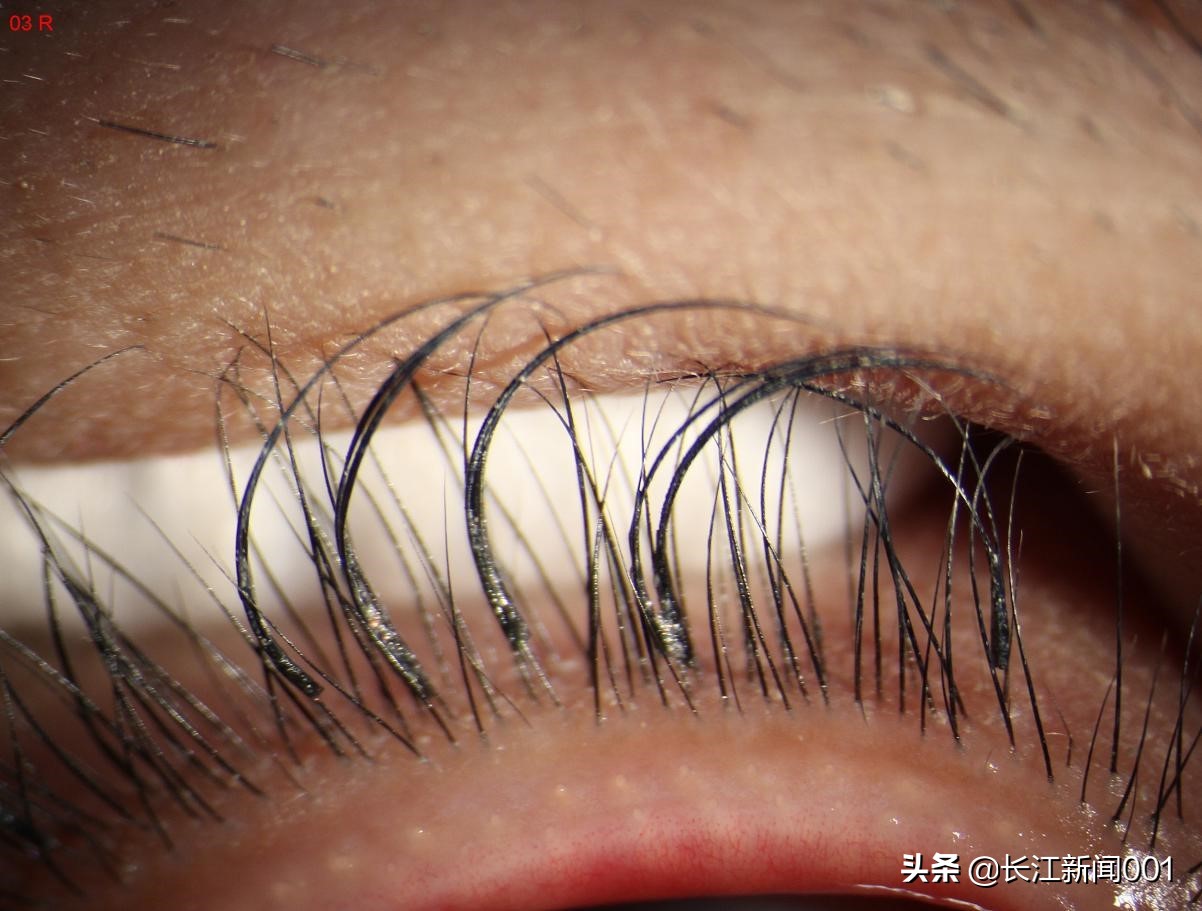 种睫毛素颜比以前好看,种睫毛变老了