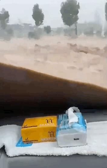 河南大暴雨致302人遇难详情,河南遭遇特大暴雨保险公司赔吗