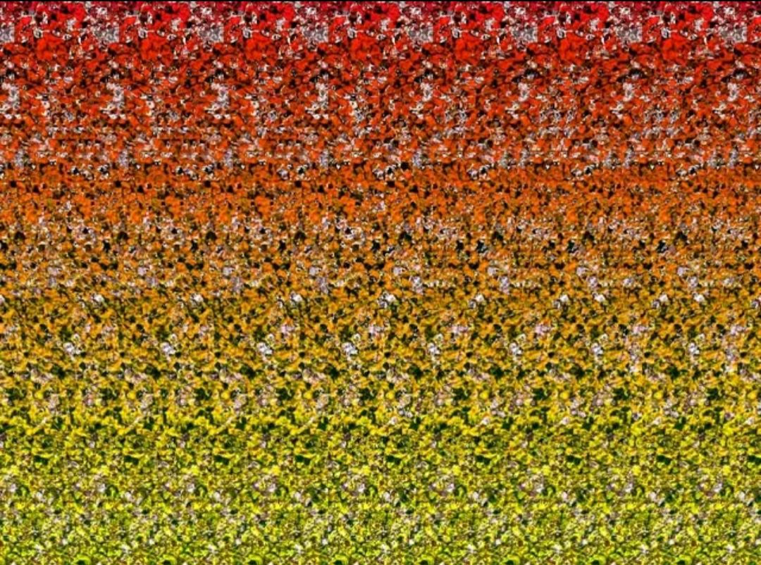 新一波超强创意图片,立体图高清图片大全