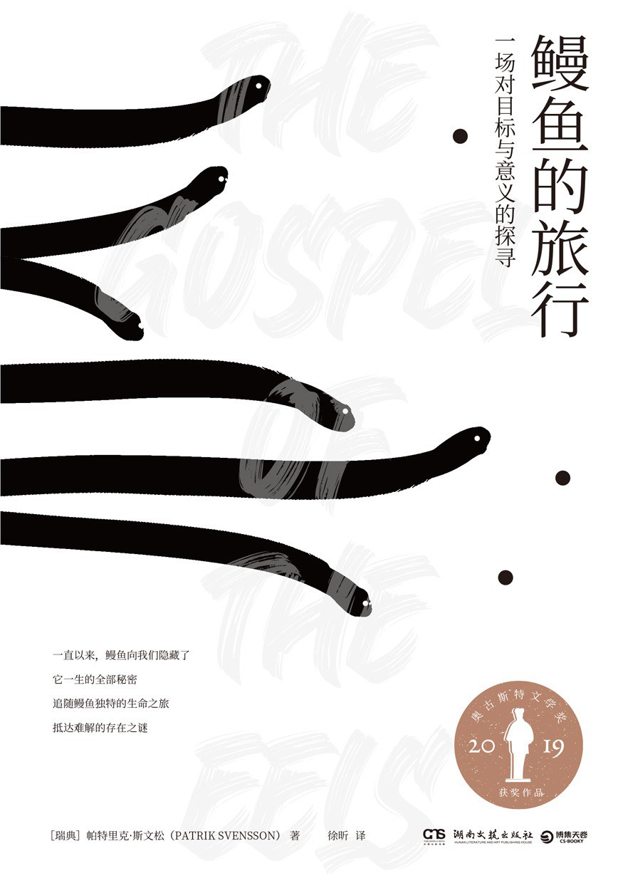 明明在说冷门鳗鱼,为什么可以又好玩又深刻?