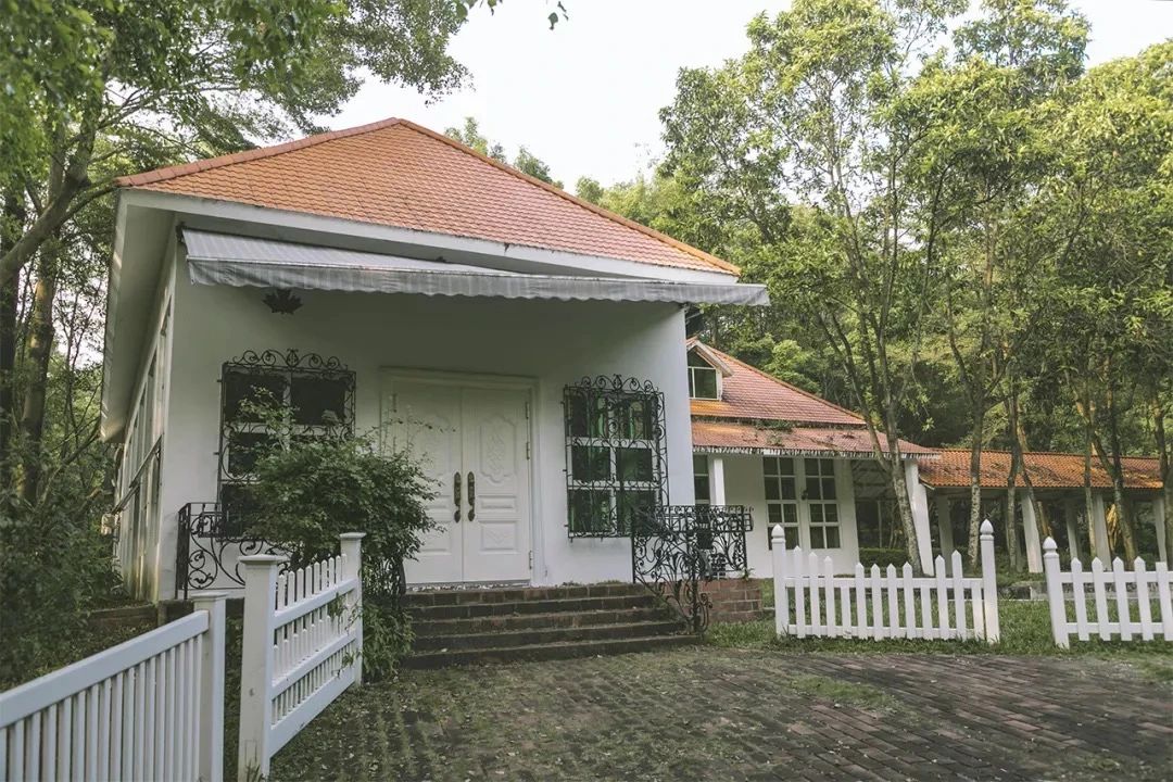 去深圳免费游玩的10个地方,深圳免费游玩景点推荐