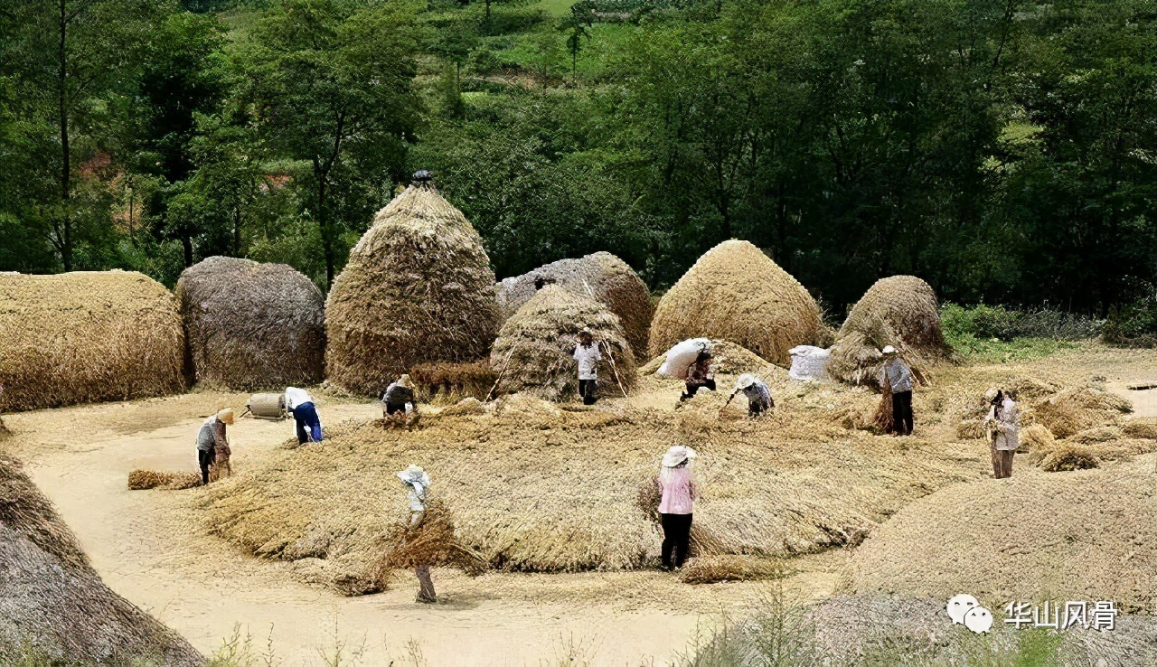扶风法门姚家村视频,陕西宝鸡扶风法门镇姚家村