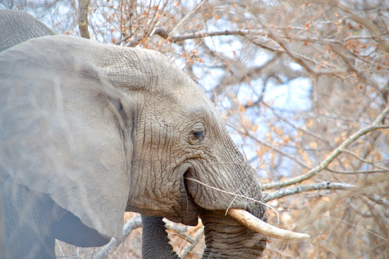 纪录片南非探险记,南非游记纪录片