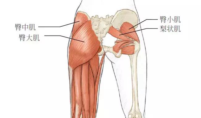 久坐颈肩腰疼怎么缓解,长期久坐脖子不舒服腰酸背痛