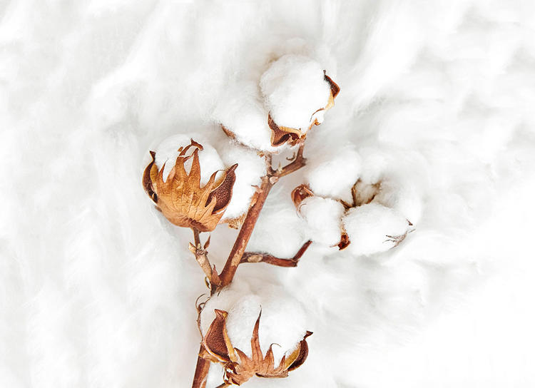 夏天适合什么样的被子和床单,夏季用什么被子最舒适