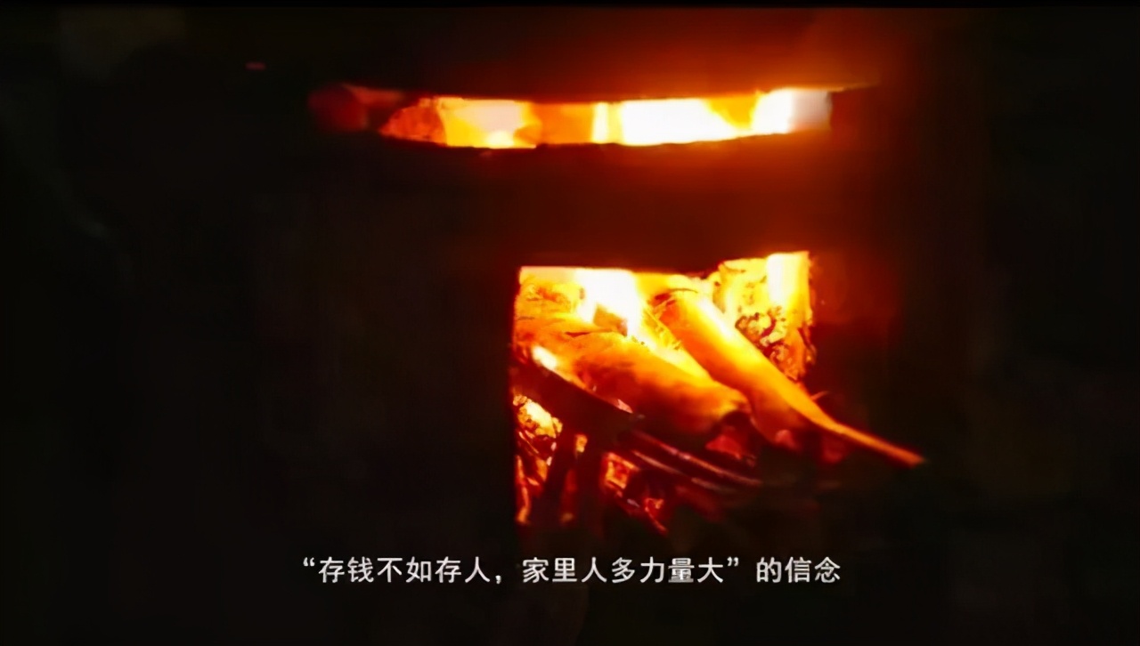 动物为什么进化出生育能力,生多生少取决于公猫还是母猫