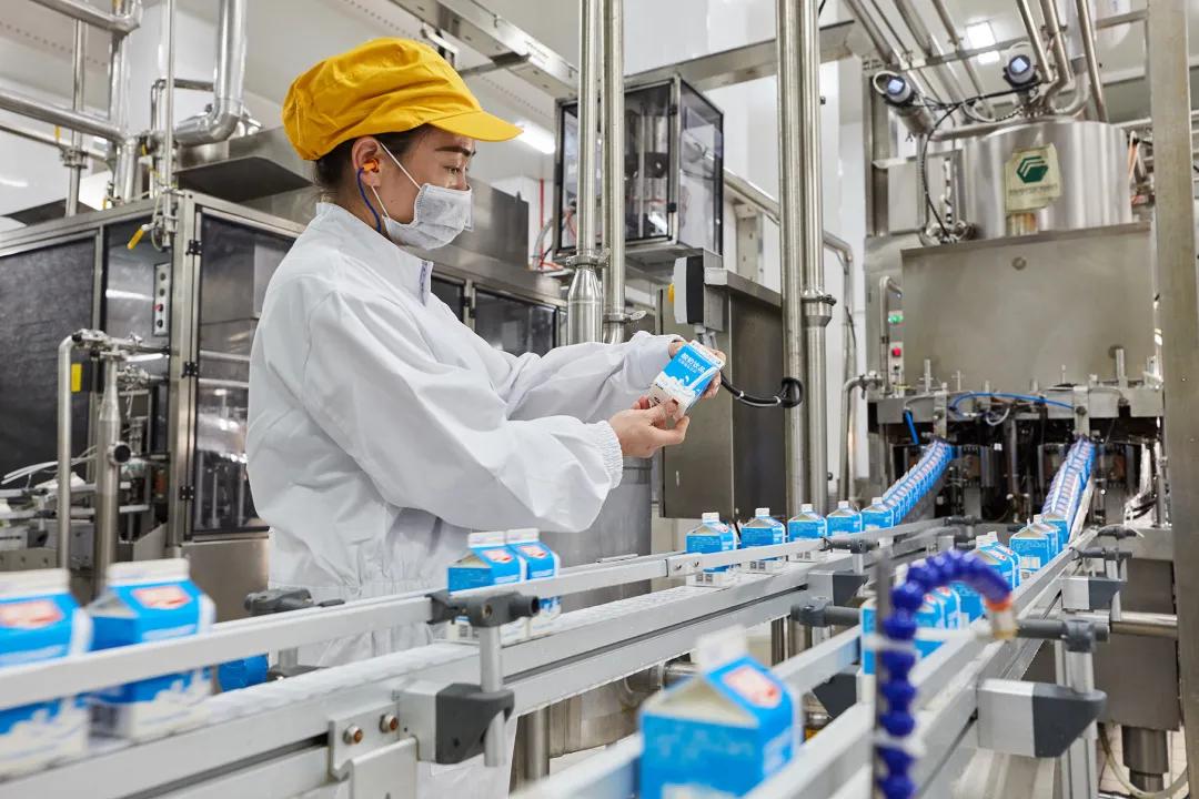 燕塘牛奶新品,燕塘牛奶开箱