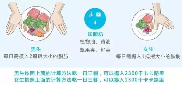 怎么准确检测卡路里消耗,你今天的卡路里摄入量超标了吗