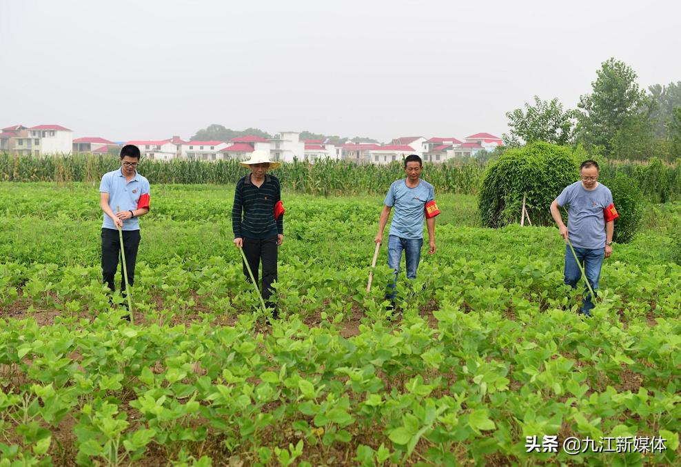 柴桑区：舍小家为大家，*党**员精神熠熠闪光