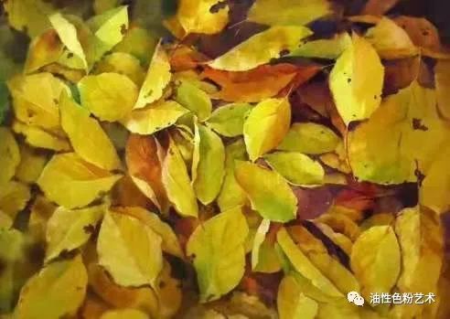 刘丰最新讲座,刘丰专访完整版