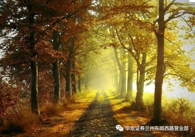 沈阳2019居游旅游年卡/票正式开售,都包含哪些景区?多少钱?