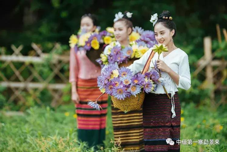 泰国顶级睡莲博士Dr.Nopchai版纳行,被勐景来圈粉