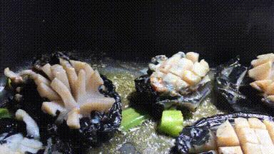 十年前,我只带了一根鱼竿出门,吃遍了世界上的各种顶级海鲜