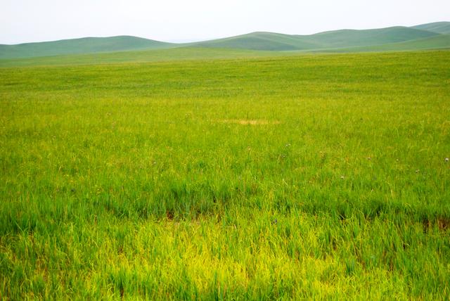 一辆车,从东乌旗沿中蒙边境公路到阿尔山,漫长边关寻迹历史遗存