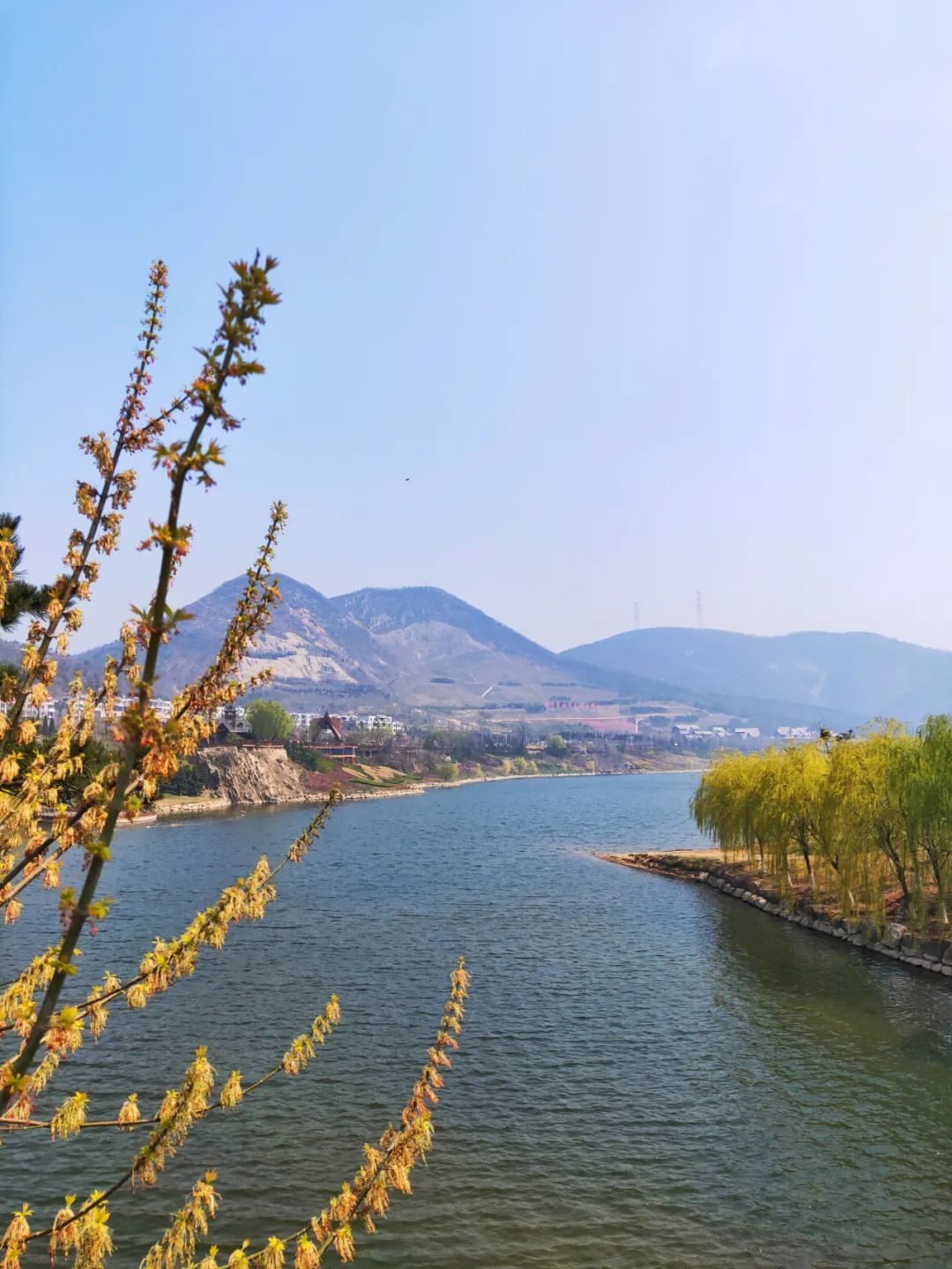 西郊山林休闲养生度假公园,休闲好去处西郊森林公园