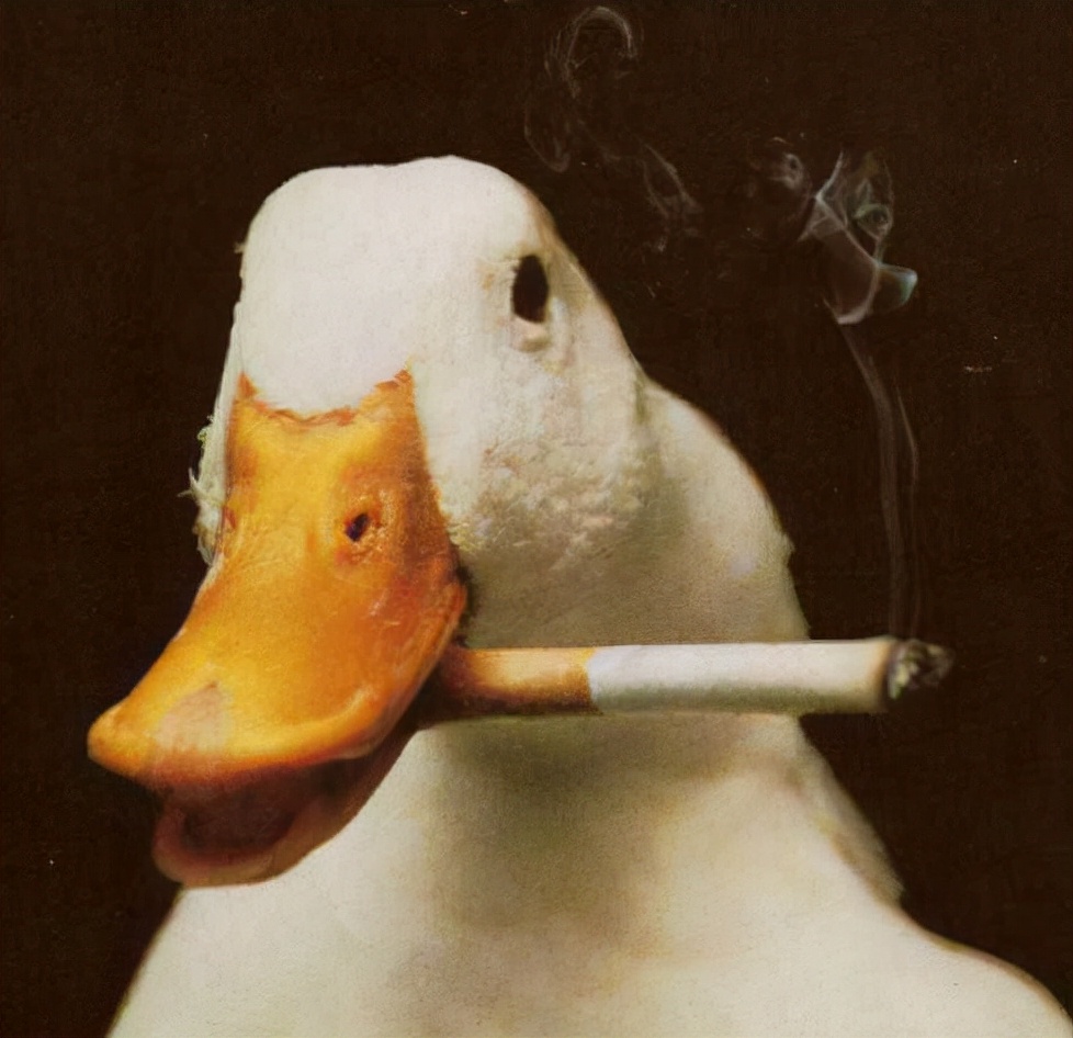 吸粗烟危害大还是细支烟危害大,抽毛烟和纸烟哪个危害大