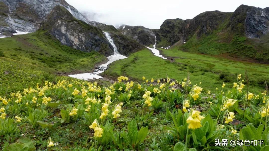 自然合伙人|“三江主人”彭建生：建一座图像喜马拉雅的藏族汉子