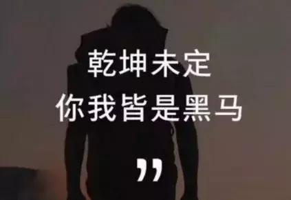 乾坤未定你我皆是黑马翻译,乾坤未定你我皆是黑马