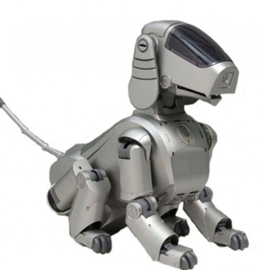 英国博士回国开网店，帮助上万人实现“机器人之梦”