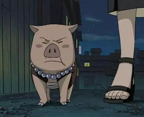 除了佩奇还有一个粉红小猪叫什么,除了小猪佩奇还有什么动画片