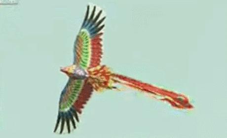 古人锻炼注意力,古人的专注力比现代人强