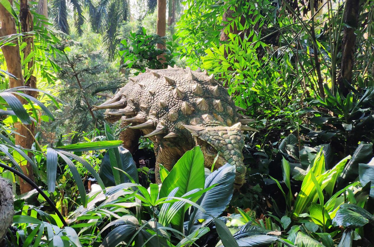 广州动物园和长隆野生动物世界,广州长隆野生动物园攻略自由行