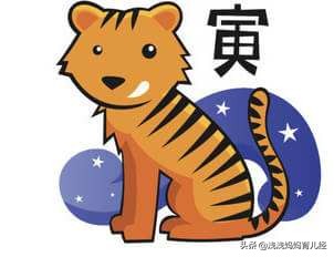 二胎属相跟家人合不合,和宝宝生肖不合要不要二胎