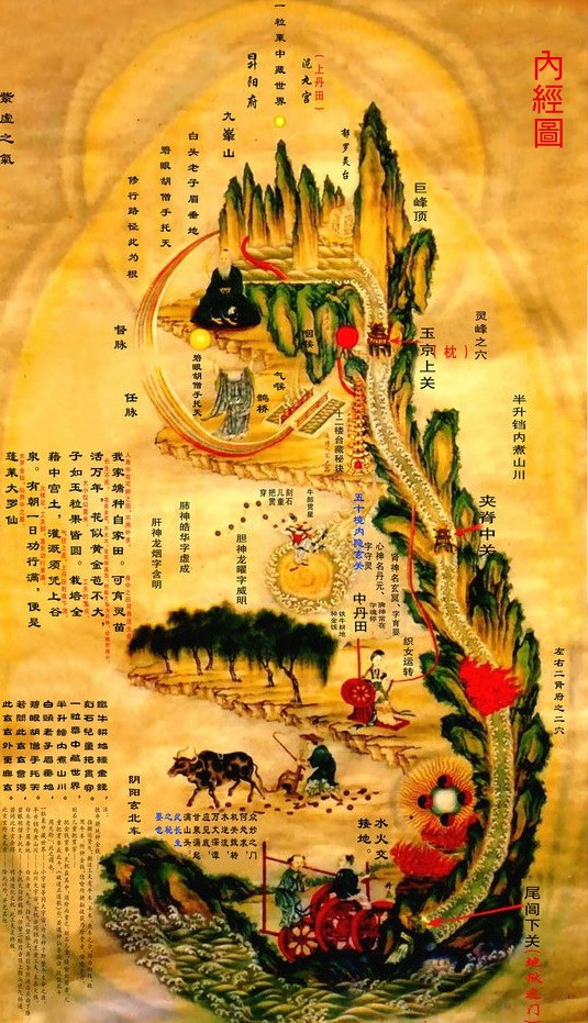 黄帝内经必背口诀,黄帝内经精华讲解视频