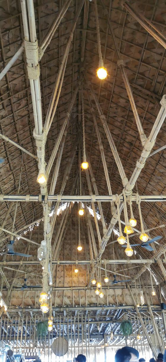 泰国北部的稻田咖啡,泰国大城府稻田咖啡厅