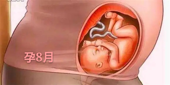 胎儿发育不全或停止发育的原因,胎儿是头先发育还是身体先发育