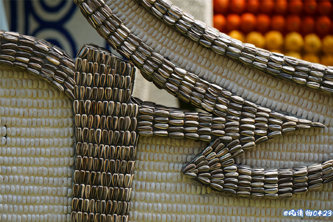 菜博会第一届,2022年菜博会天下情怀景观