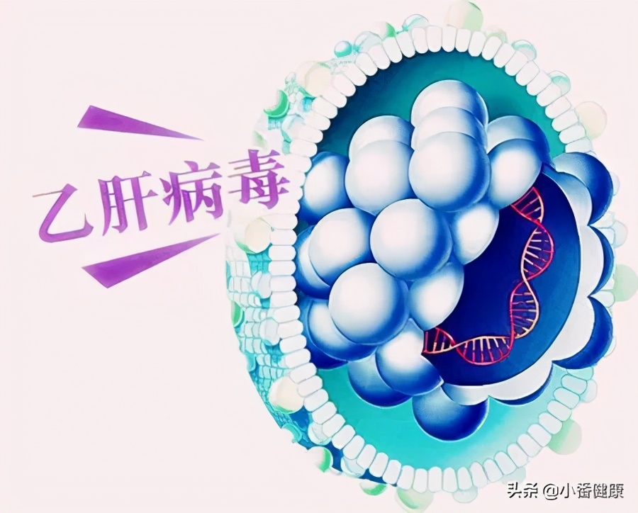 乙肝干扰素反应,干扰素治疗乙肝不良反应监测