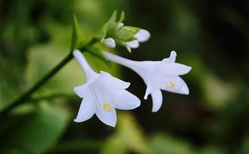 初秋的诗词经典赏析,初秋诗词大全100首