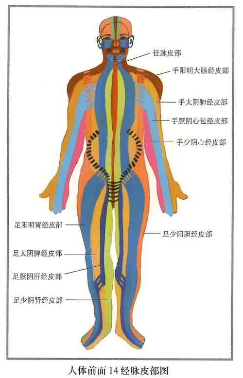 经络诊断理论与实践,经络诊断怎么做