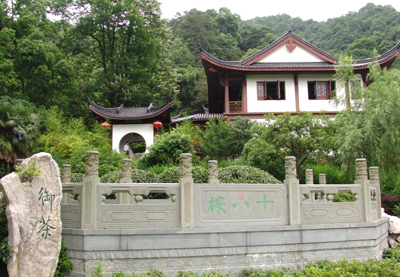 价格最高的茶叶前十,比较贵的茶叶排行榜