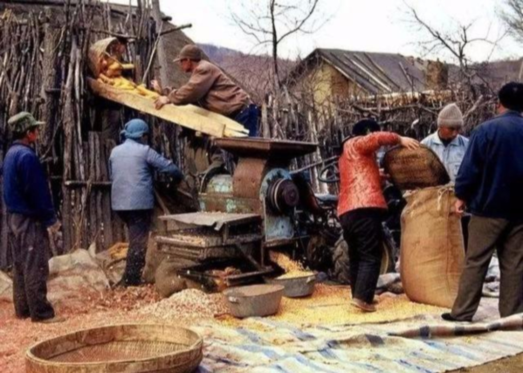 一家三口死于火灾中丈夫异常淡定,1980年一家四口吃了饺子中毒案