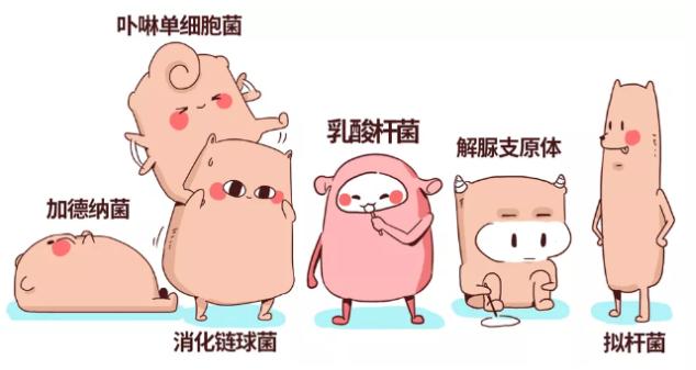 洗洗更健康是真是假,洗洗真能更健康吗