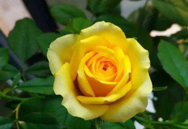 人要吃得苦中苦方为人上人,吃得苦中苦方为人上人的人