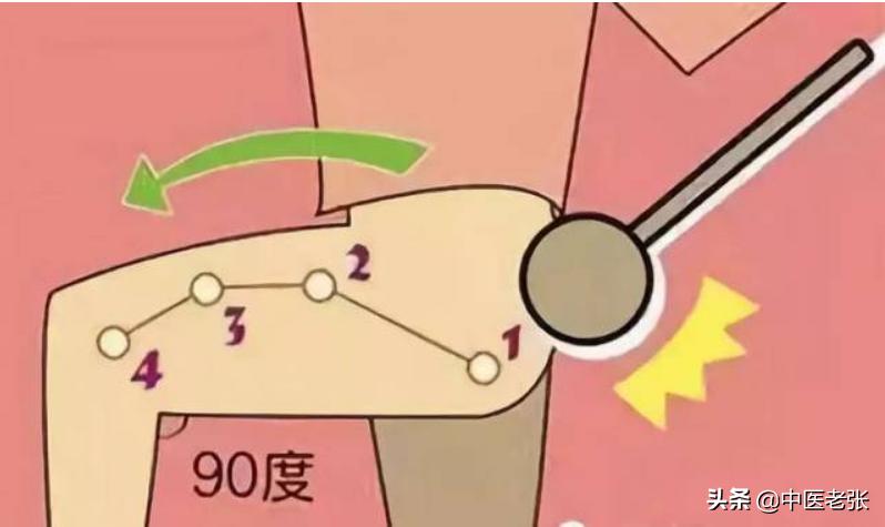 老中医顺口溜你值得拥有,超实用的中医顺口溜值得一看