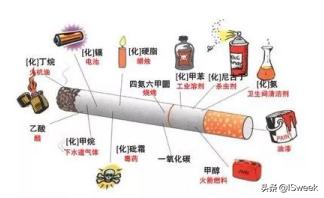 香烟烟雾对人体的危害,烟污染如何清理