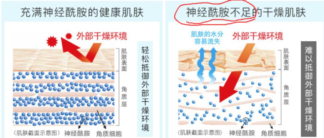 珂润水乳套装双瓶,珂润水乳推荐混干