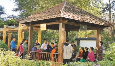 村居顾问解民忧化解矛盾助和谐,把小矛盾小问题化解在基层