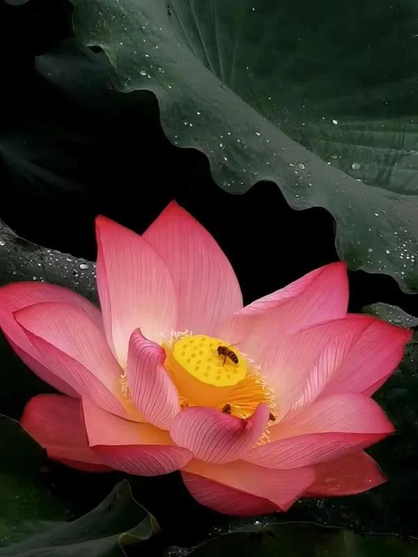 看病那些事儿完整版,看病奇葩事儿