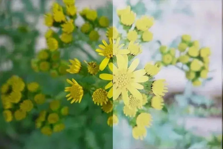 手机修图snapseed教学,snapseed手机修图教程