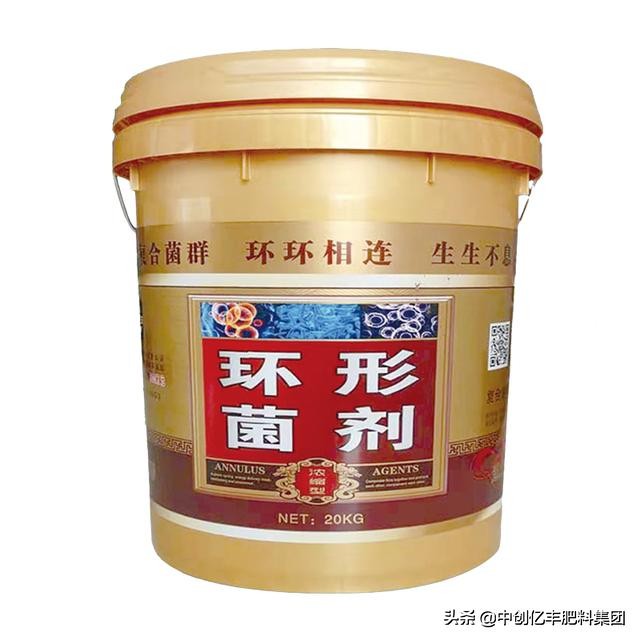 无花果高产方法,无花果高产修剪方法