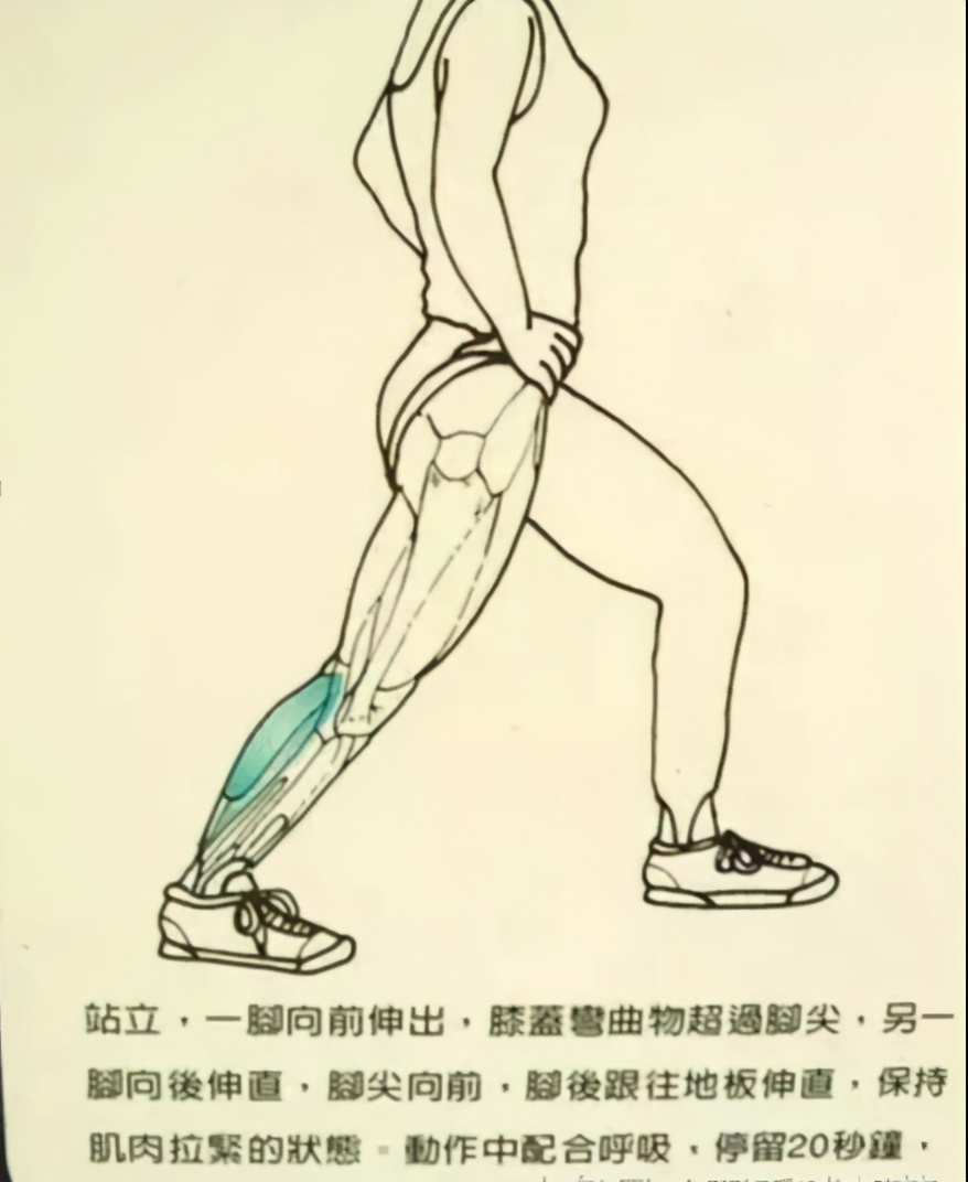 打羽毛球如何拉伸热身,打羽毛球前拉伸动作热身