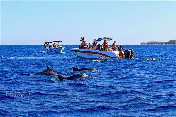 毛里求斯蜜月推荐酒店,去毛里求斯蜜月要多少钱