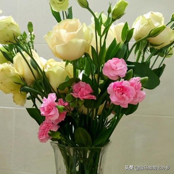 广西贵港古驿站-香江（引子）