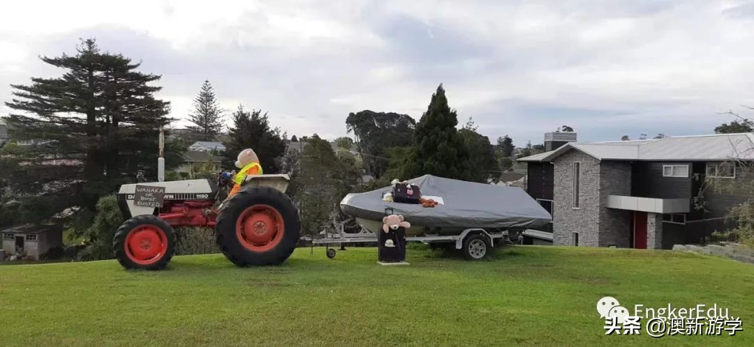 封城期间，玩偶一家的生活大揭秘