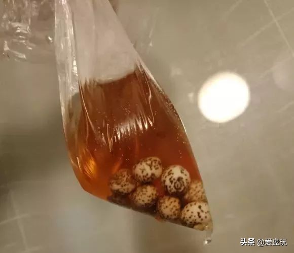 他用白醋泡了一颗星月，打灯一看，玉化了……